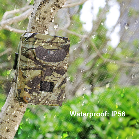 Trail Camera